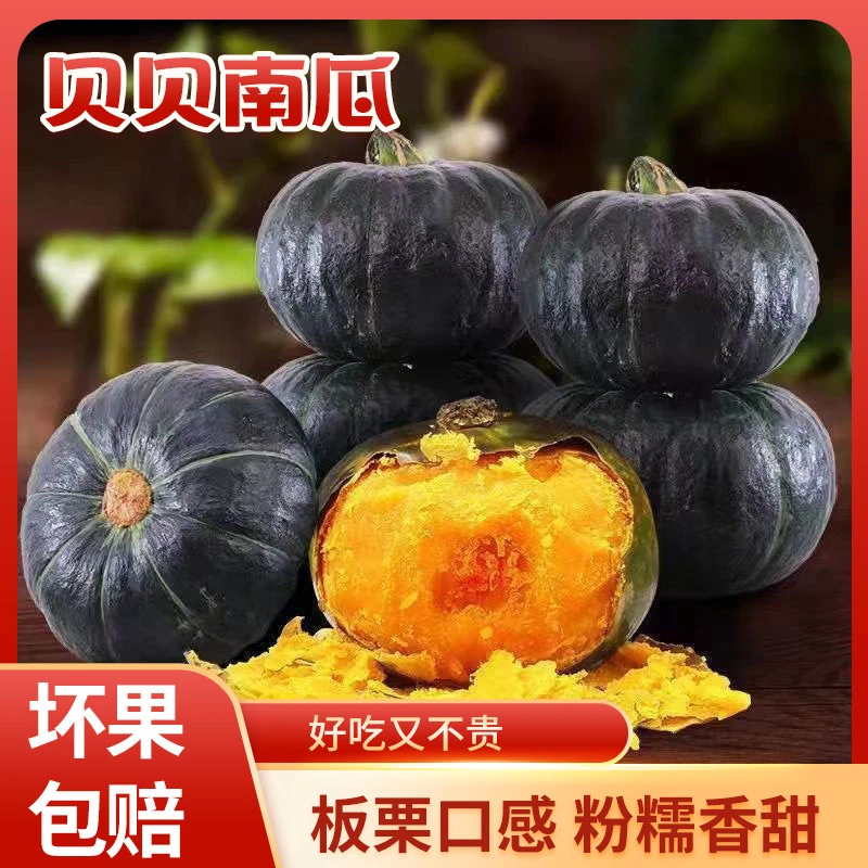 正宗贝贝南瓜粉糯香甜板栗味代餐粗粮新鲜当季新鲜蔬菜宝宝小南瓜