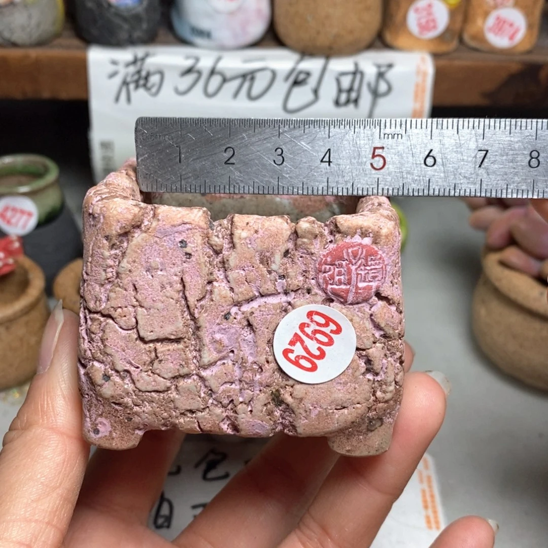 红陶拍5送一个小