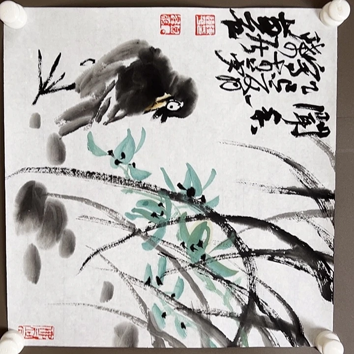 笠***国画555555555888855