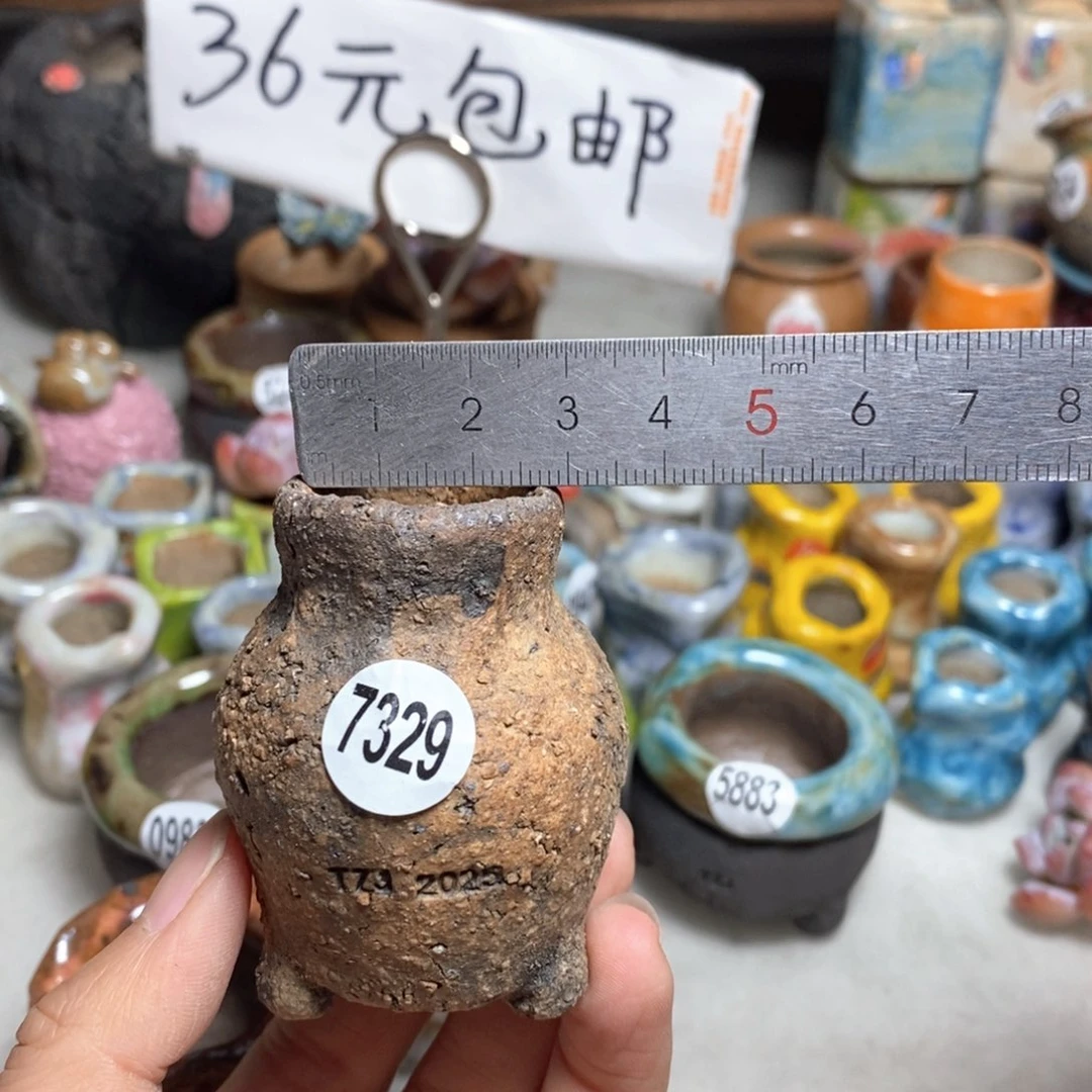 处理的，不退不换的原价28一个
