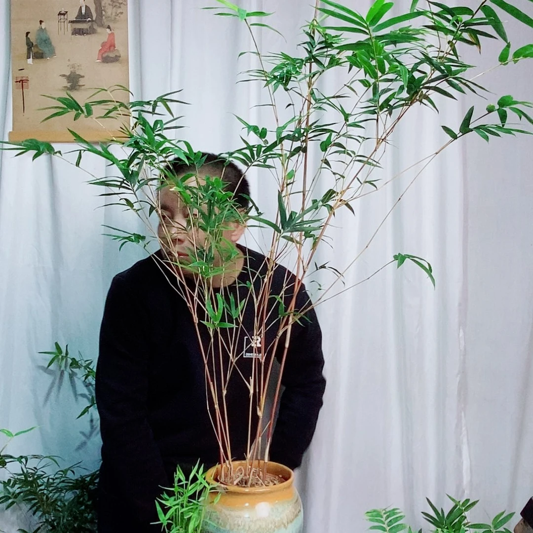 完全开放1111111  111111