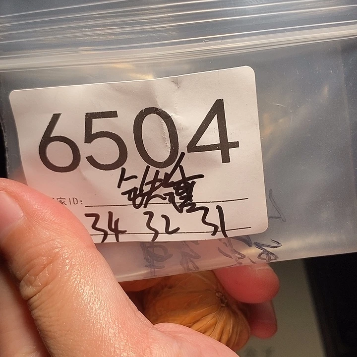 把件文玩核桃文玩核桃把件