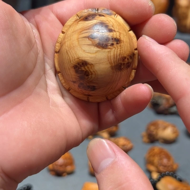柏木（崖柏）点点关注，感谢