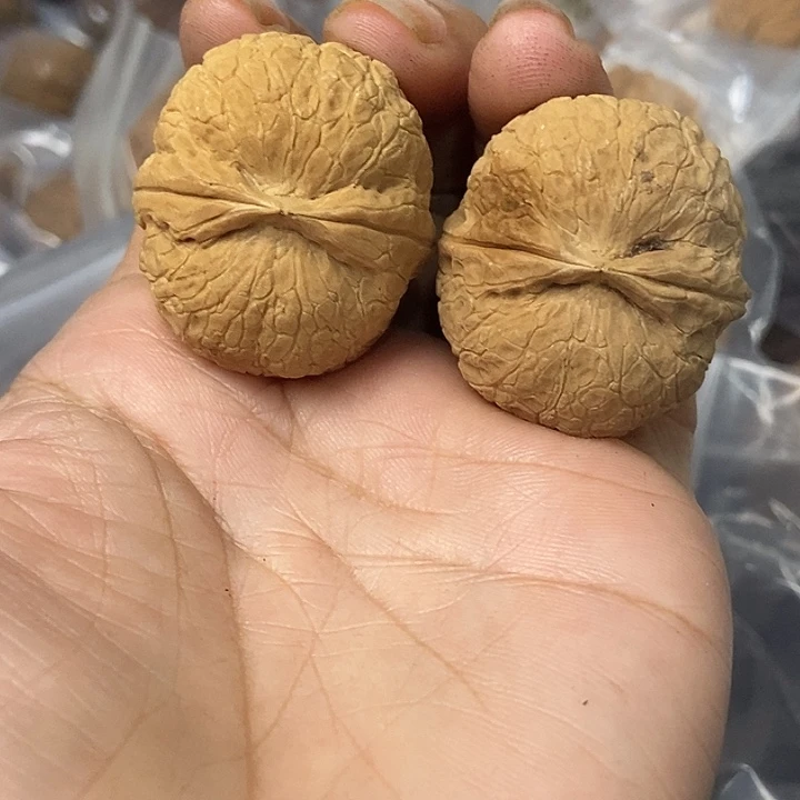 把件文玩核桃云南铁核桃基地47