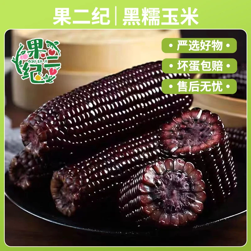 【试吃三根】2025年头茬东北黑糯玉米240g*8甜糯可口营养代餐