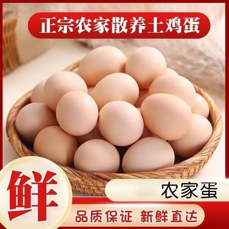 农家散养土鸡蛋10/20/30/40枚现捡现发营养早餐新鲜鸡蛋主播补贴N