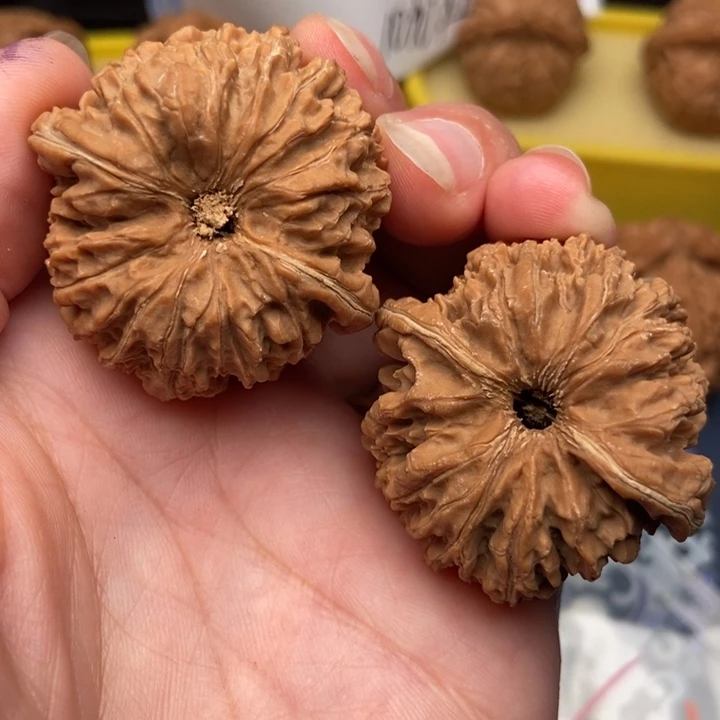 果***橙手串/手链核桃137