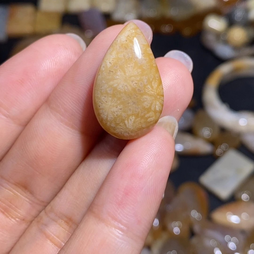 【闪购商品】硅化玉珊瑚玉未镶嵌