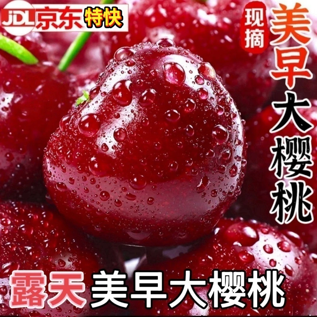 [顺丰京东快递]山东露天美早大樱桃国产车厘子新鲜大樱桃现摘现发