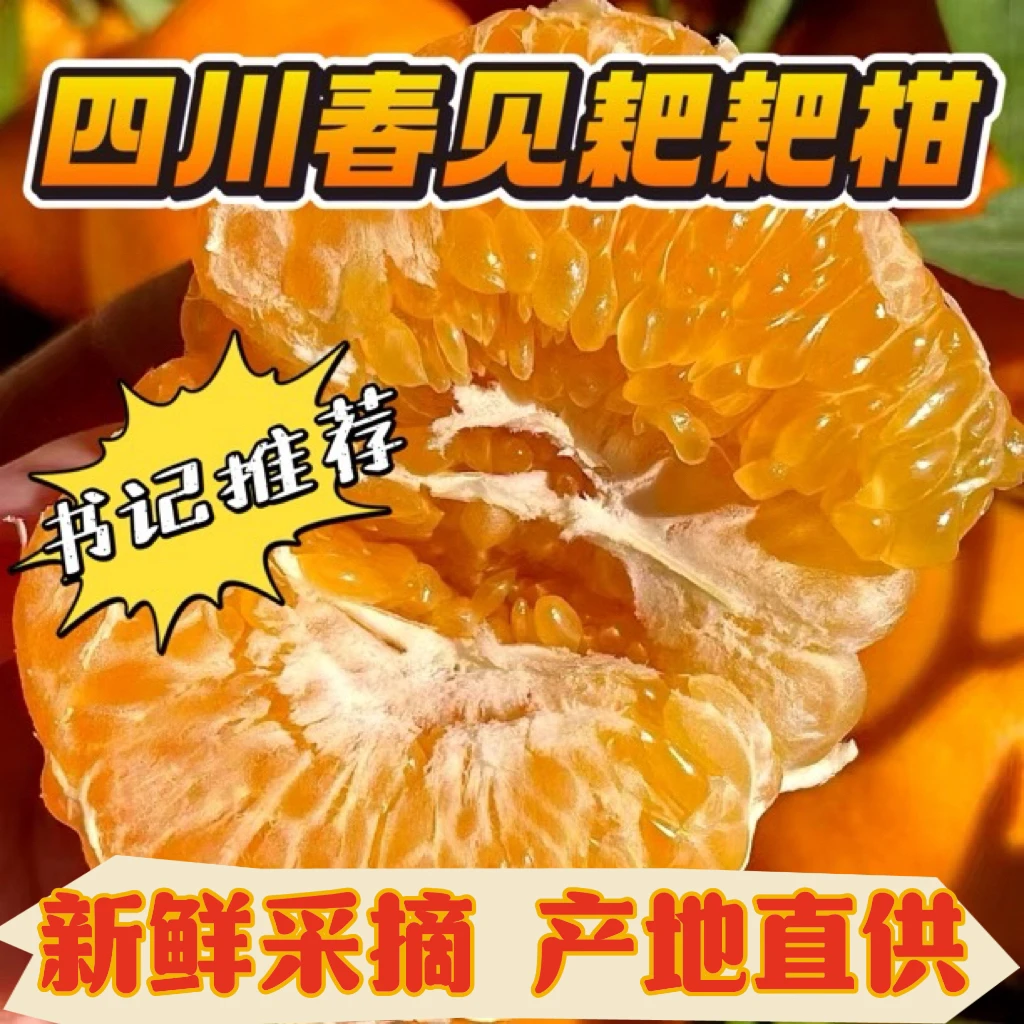 [村支书推荐]正宗四川春见耙耙柑皮薄多汁优质橘子爆浆丑橘粑粑柑