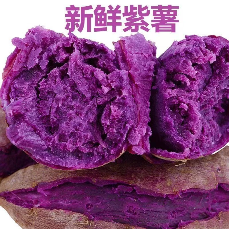 正宗沙地紫薯新鲜现挖珍珠紫薯紫罗兰番薯孕妇婴儿产地直发
