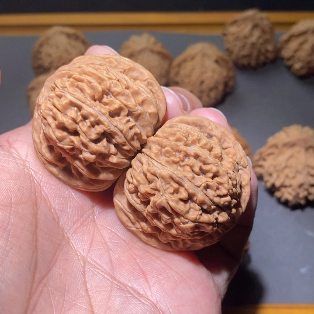 核桃41汉高楼全品核桃