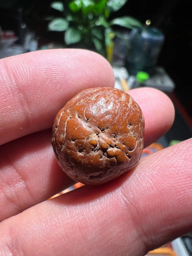 藏典精选，老菩提配饰