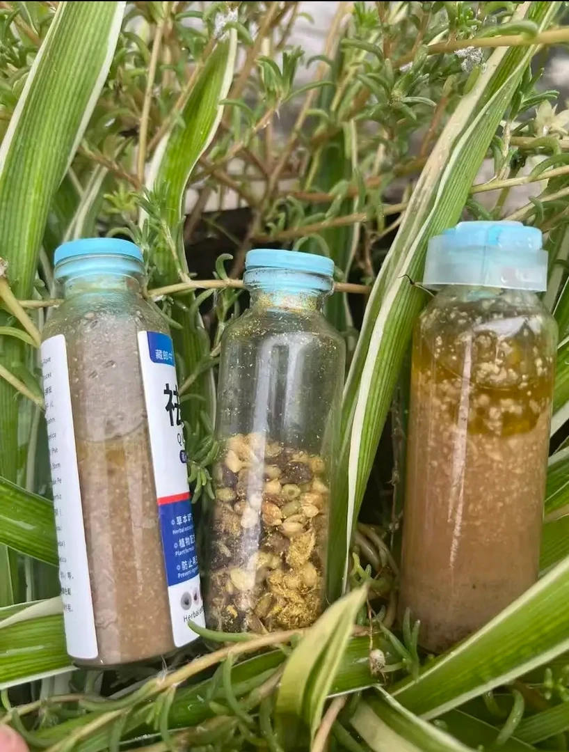 花壳种子组合植物精华用于皮肤护理按说明书使用