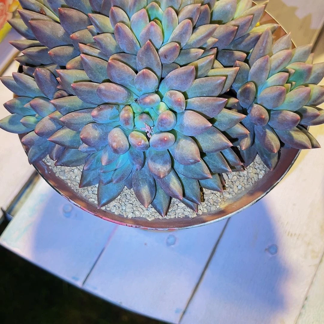 润***）玻璃球玻璃球玻璃球