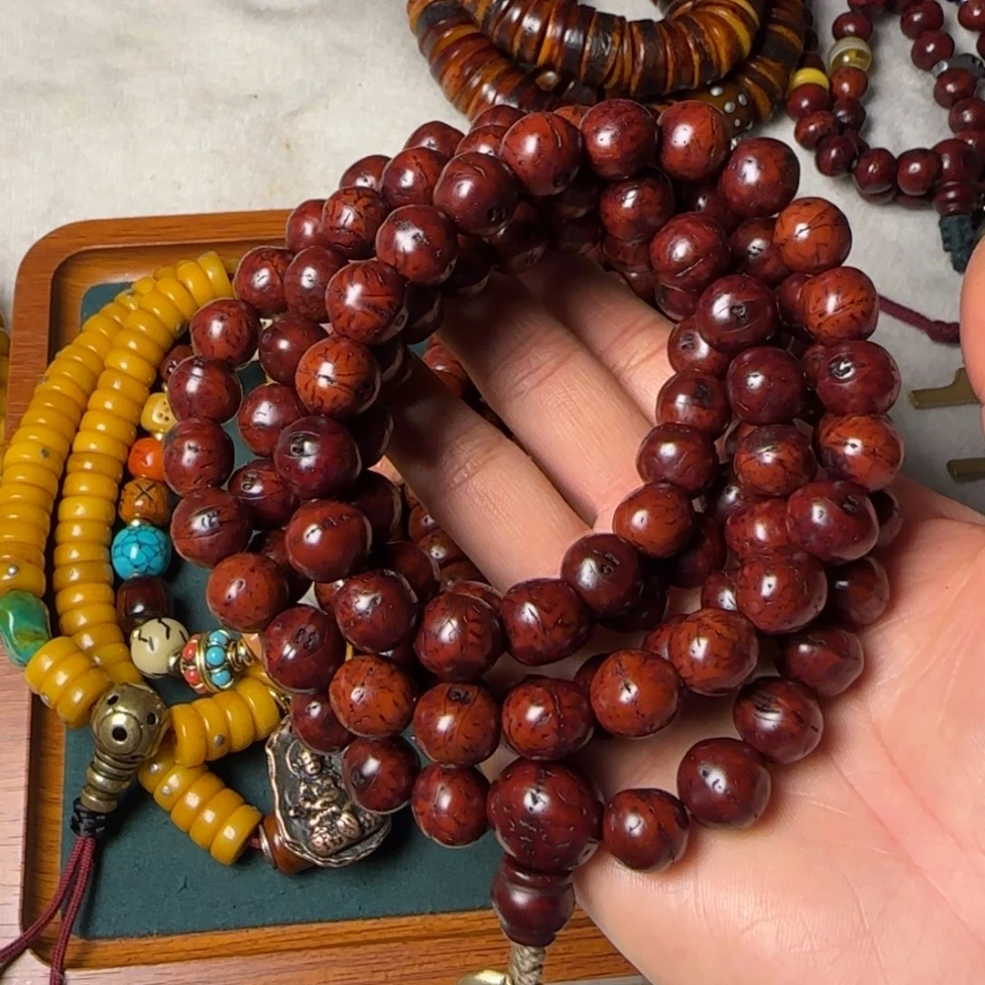 …………………………………………………