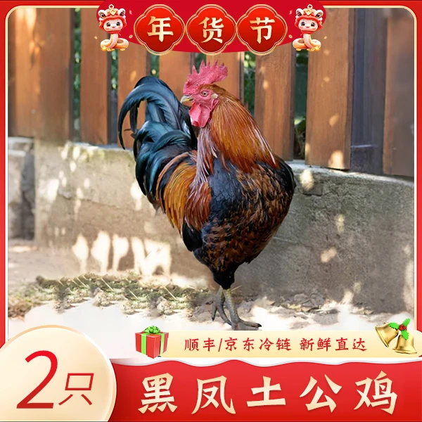 【黑凤大公鸡】新鲜散养土鸡净重 2只/10-11斤带鸡胗冷链配送