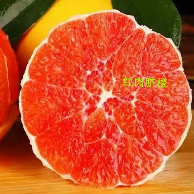 （赣南血橙）江西赣州赣南脐橙安远产地新鲜采摘当季水果现摘现发