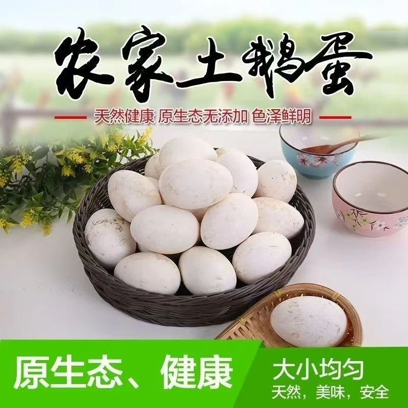 R.【买6枚送6枚】农家土鹅蛋新鲜特大土鹅蛋雁鹅批发孕妇宝宝现捡