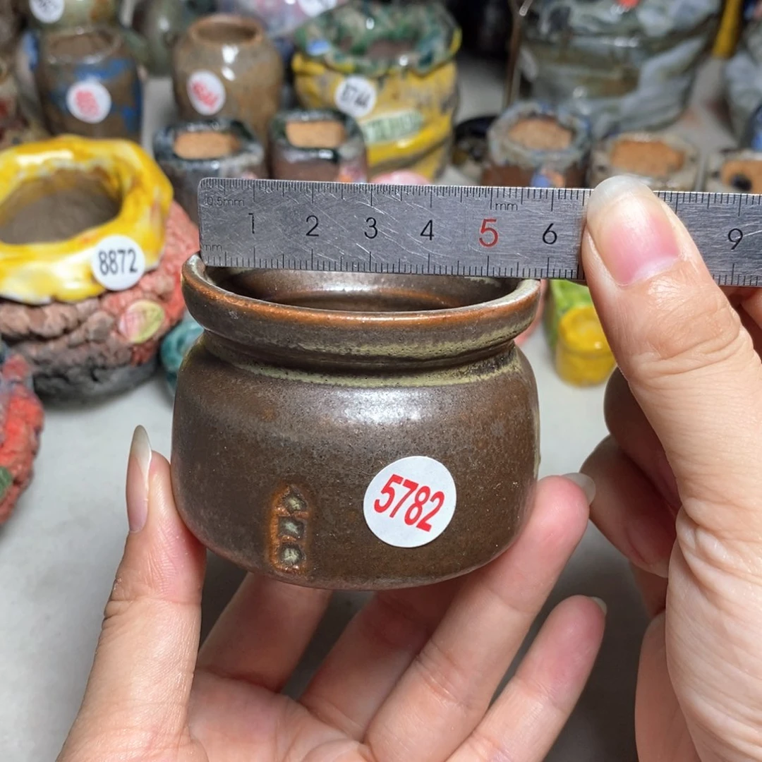 拍5送一个小礼物