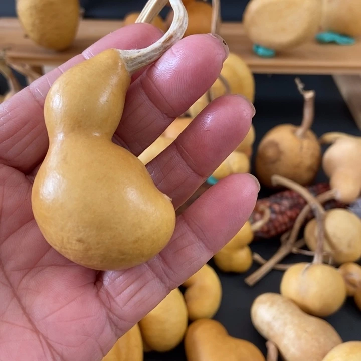 木***涛dndnannadjjswndnd