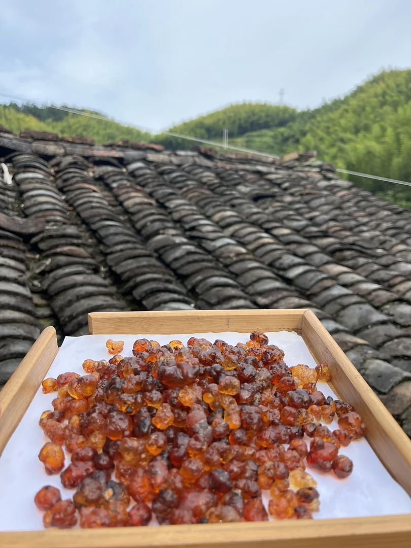 高山 农家 新鲜桃胶