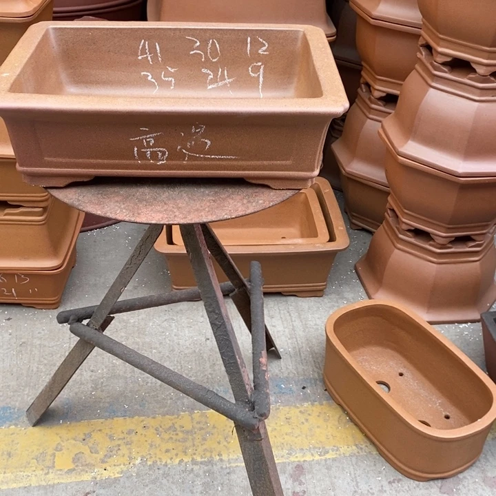 花盆紫砂只顾看电视