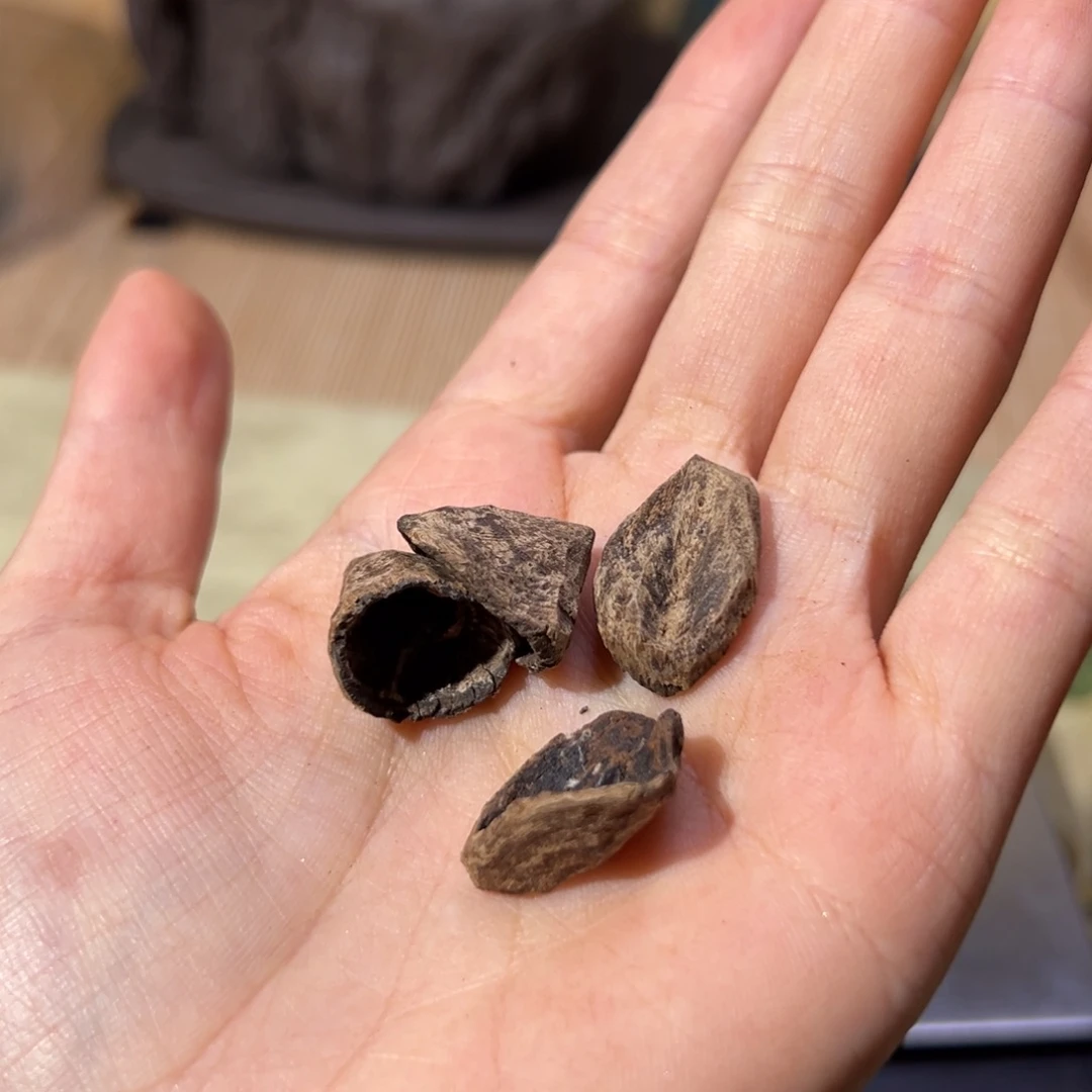 【闪购商品】香榧木海南木料霸王岭沉水包头2克