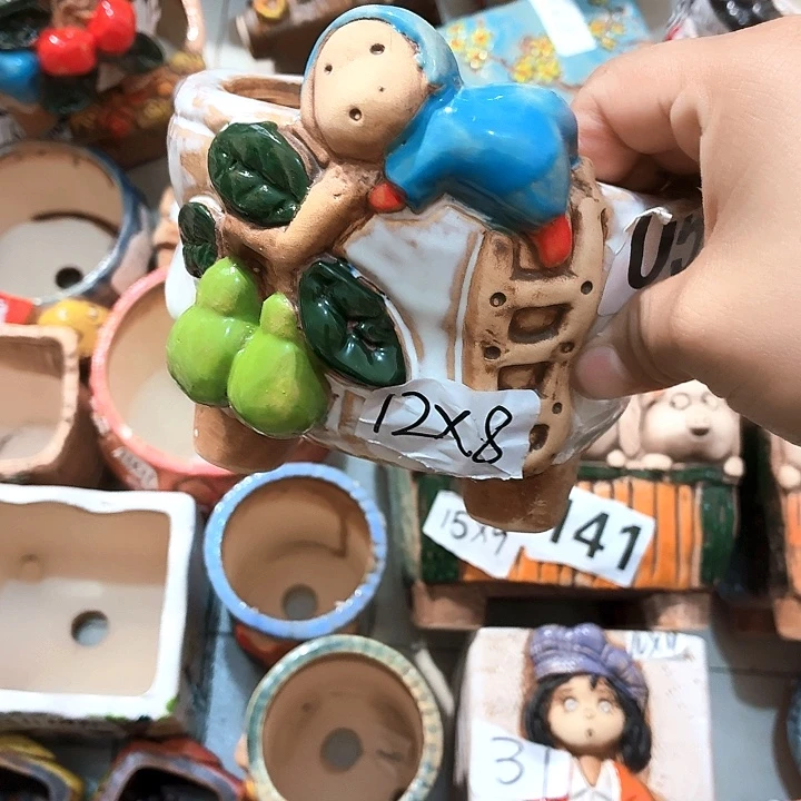 多肉花盆满15包邮