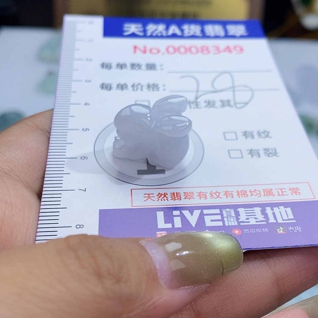 翡翠未镶嵌颈饰8349