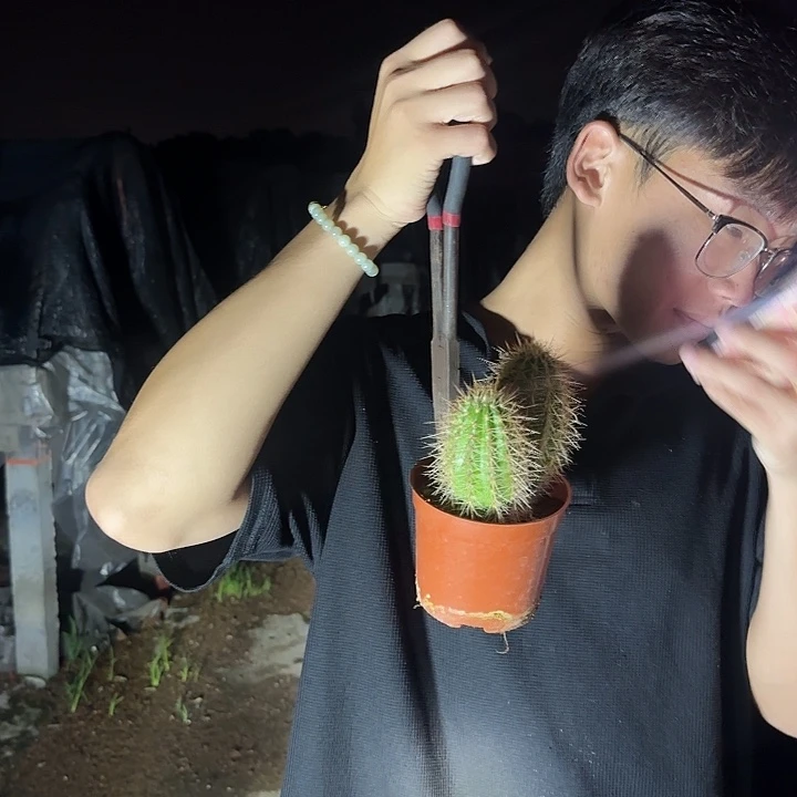 完全开放立夏双头脱土花花花