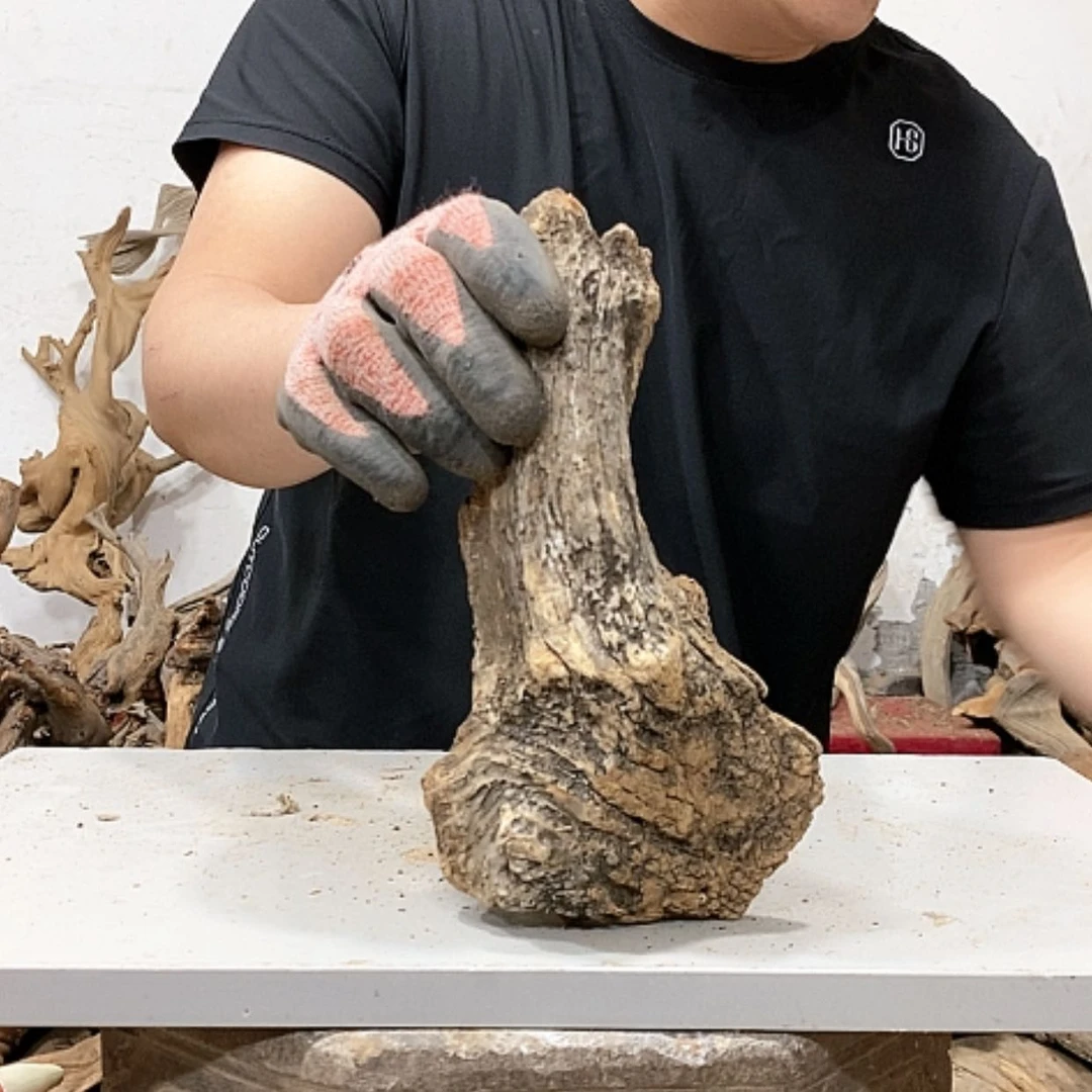 【闪购商品】柏木海***海我们都是好孩子