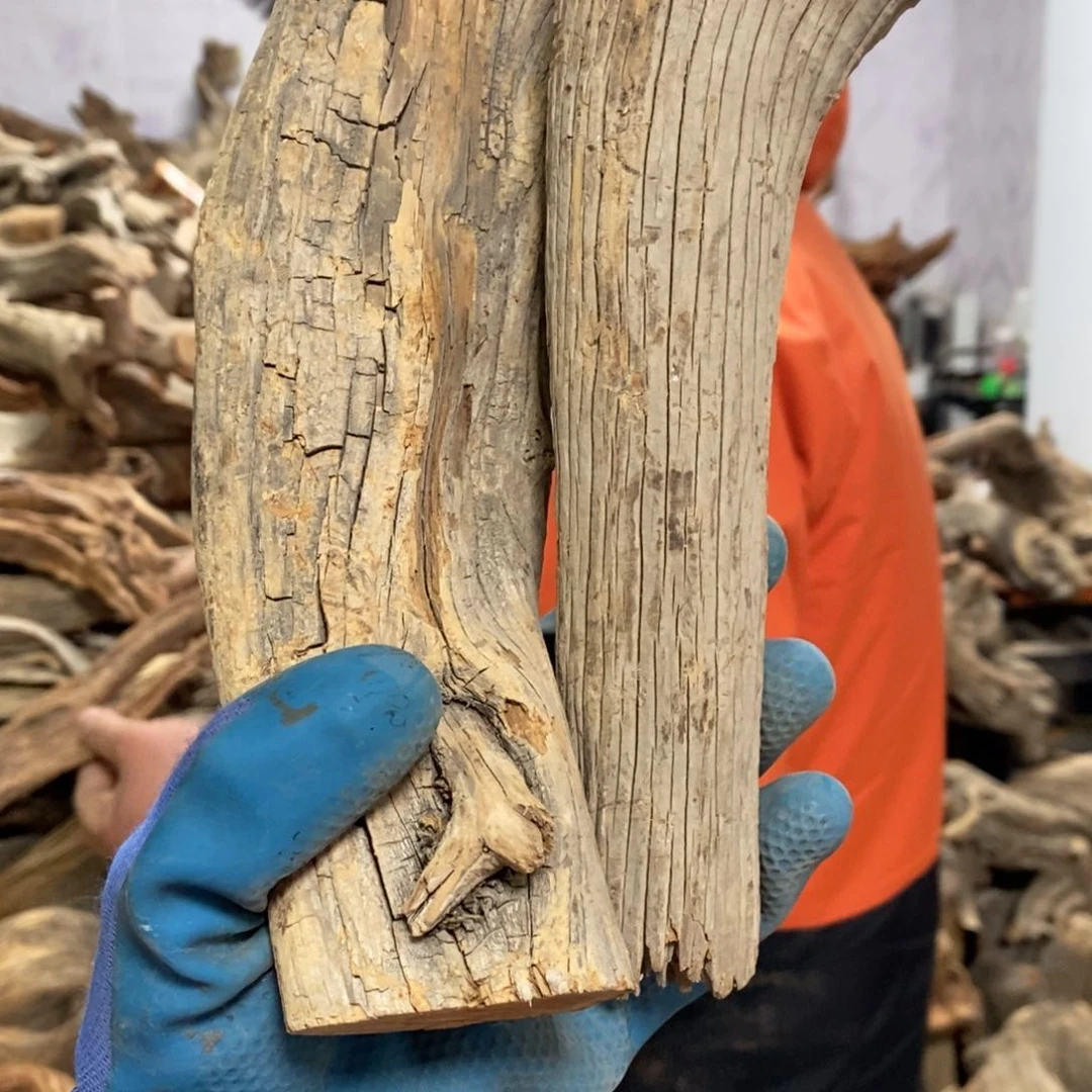 柏木山*我们都是好孩子