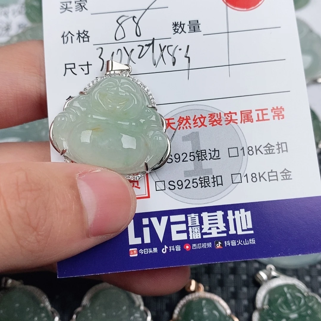 翡翠银S925镶嵌颈饰