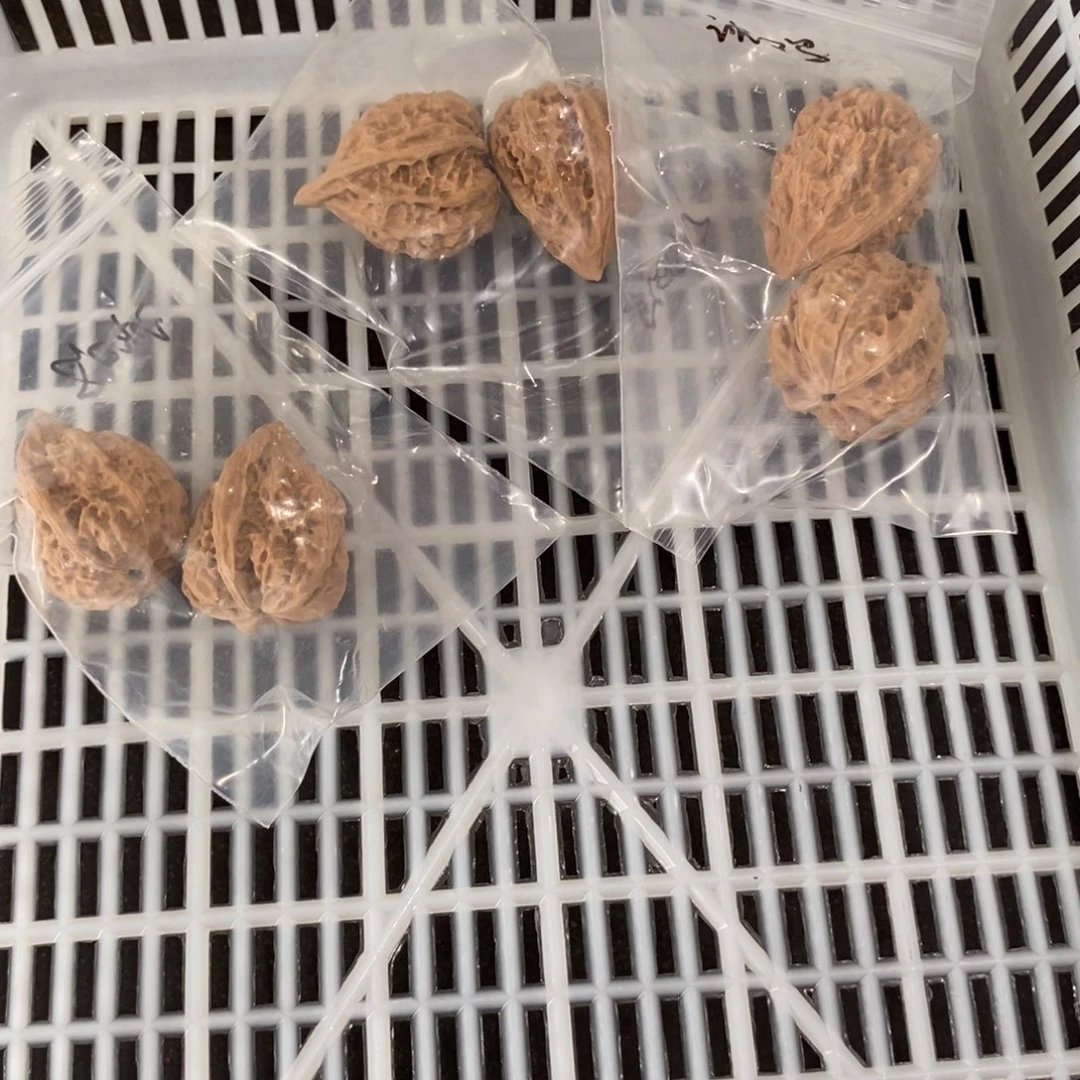 文玩核桃吊坠沈鸡