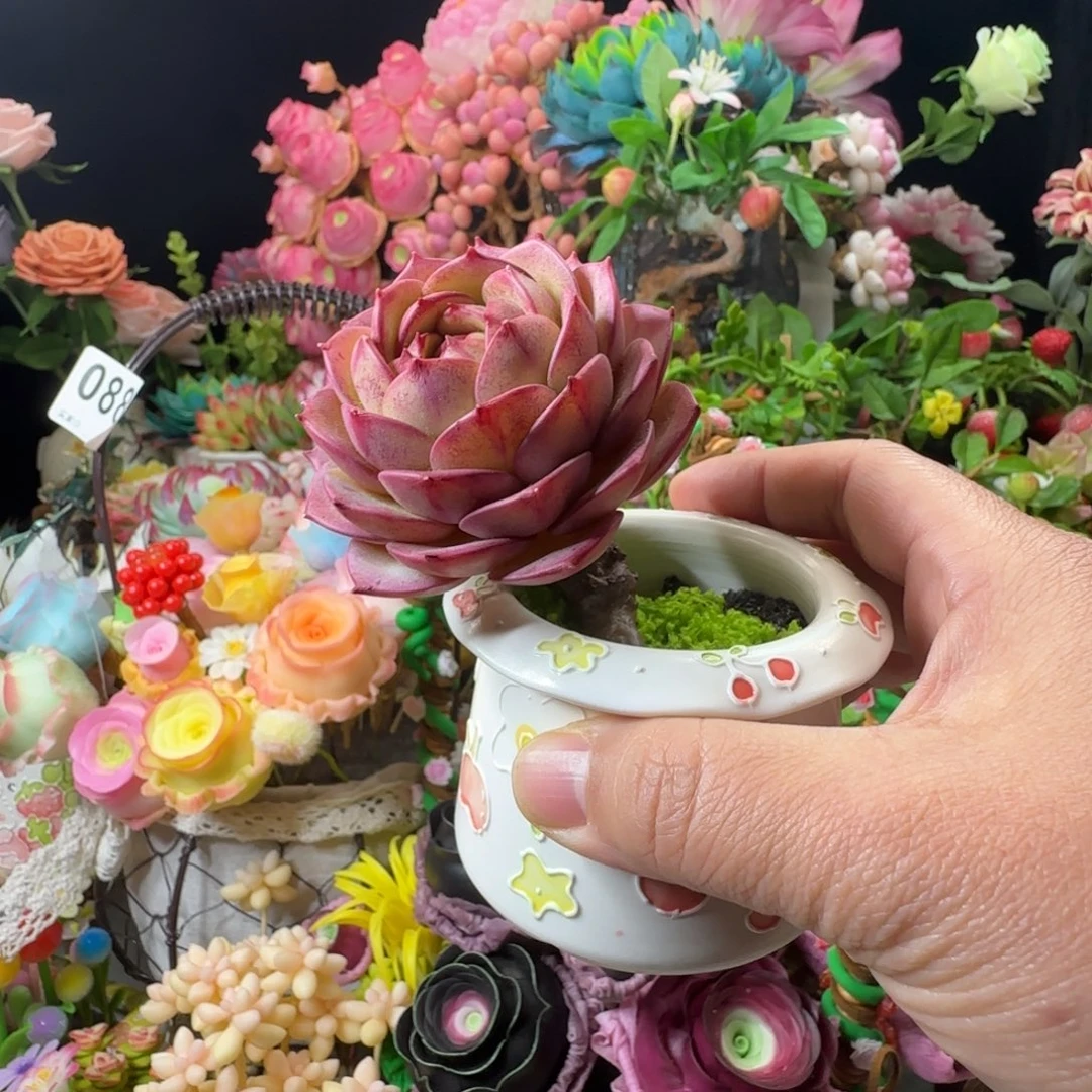 手工制作苯巴不带盆