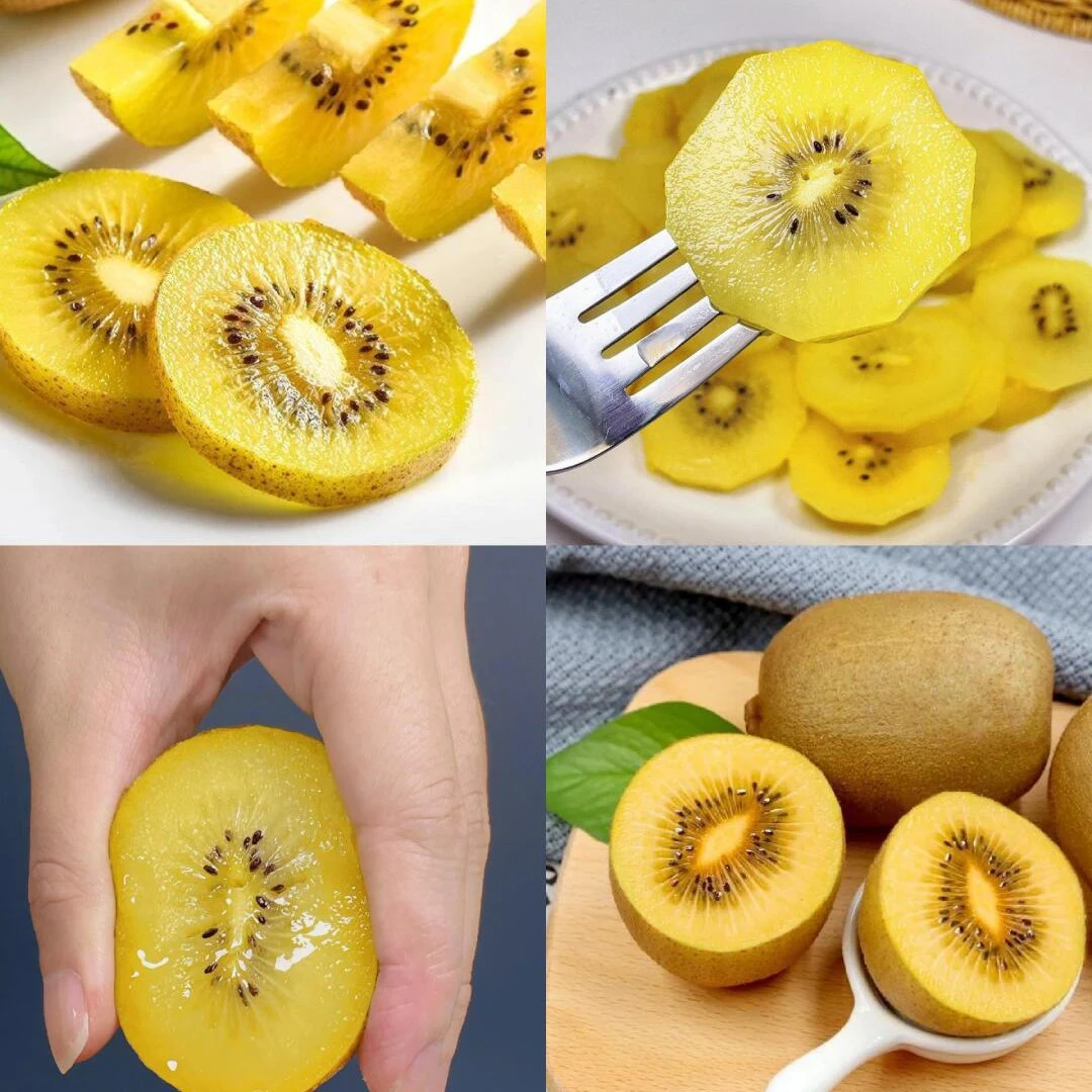 金奇异果猕猴桃礼盒原箱单果120g+猕猴桃当季水果维C食用