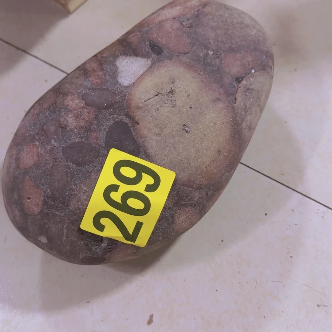 香榧木爱****学摆件269
