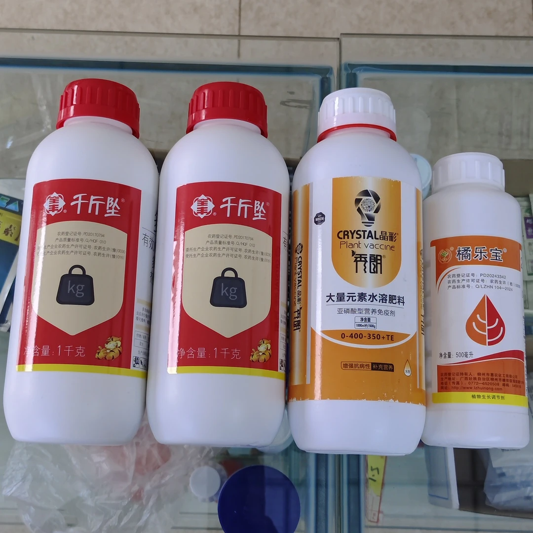 柑橘促进花芽分化方案