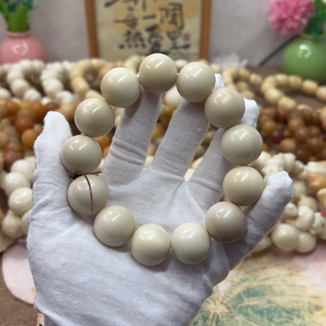 吊坠菩提根/象牙果20干磨微瑕牙果圆珠福利935