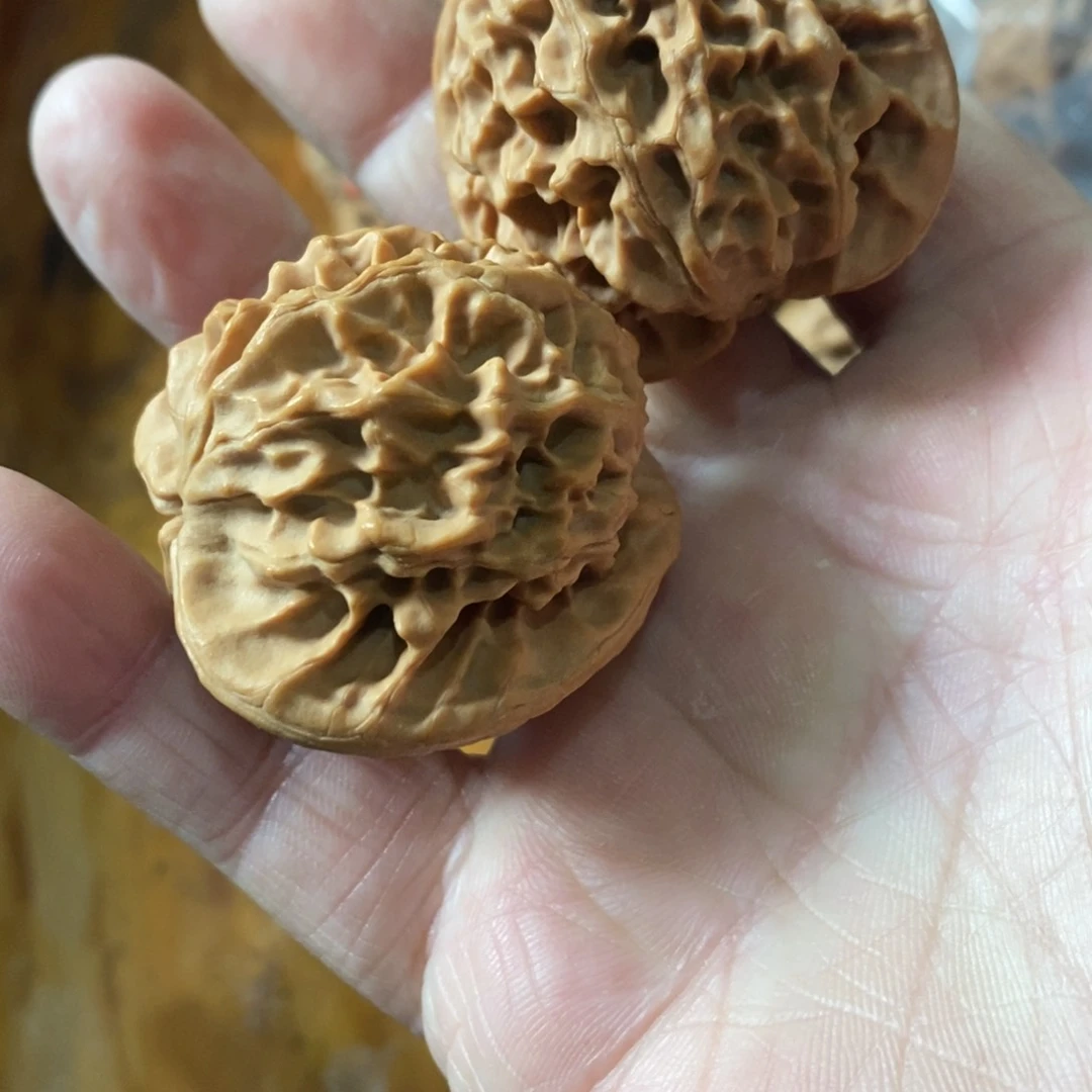 余***性秦岭南侧和东北北部部分