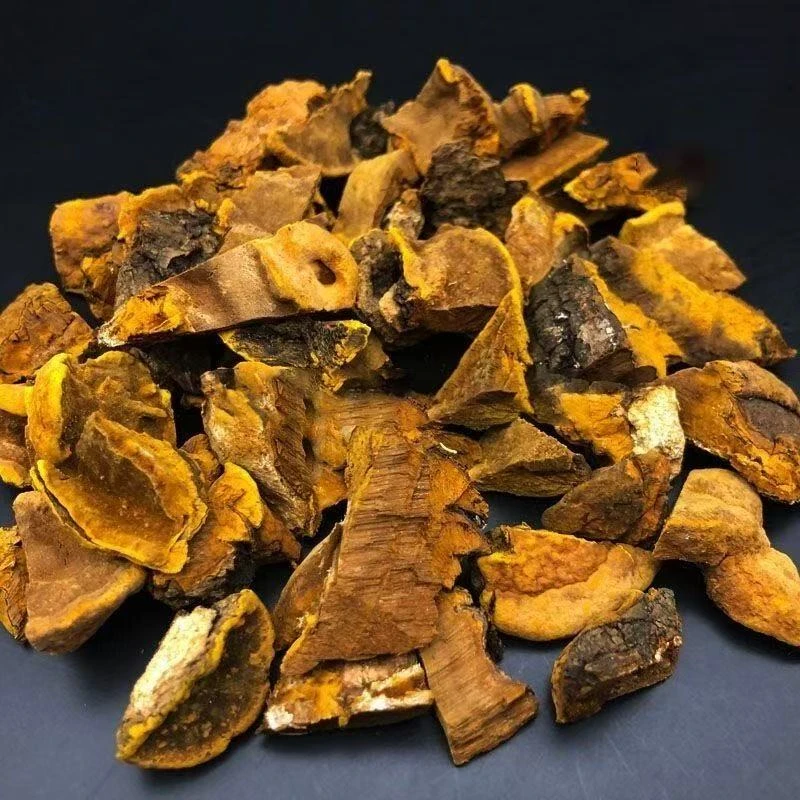 野生桑黄 8年【杰选陈皮】100g 拍一发五到手500g