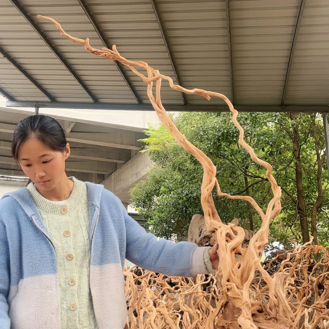 蜘***炮木我是一个很好的人是