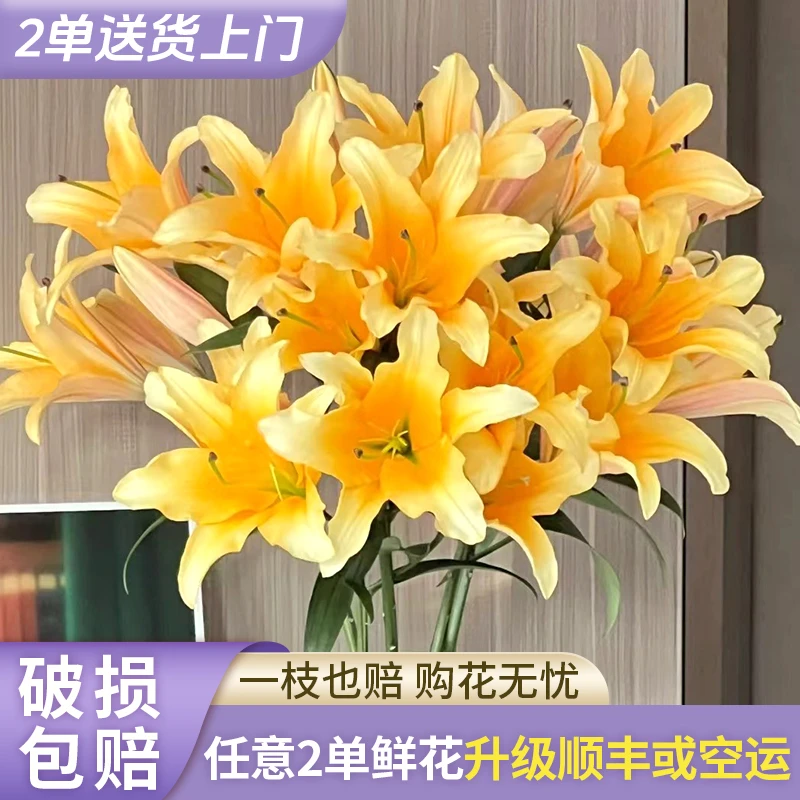 【源头优选】晚霞香水百合 云南直发鲜花家居水养插花鲜切花