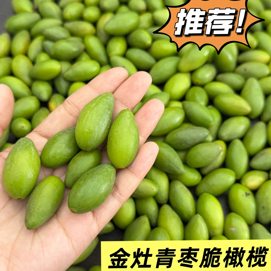 潮汕新鲜菜摘青枣脆橄榄生吃酥脆清香回甘也可榨汁煲汤