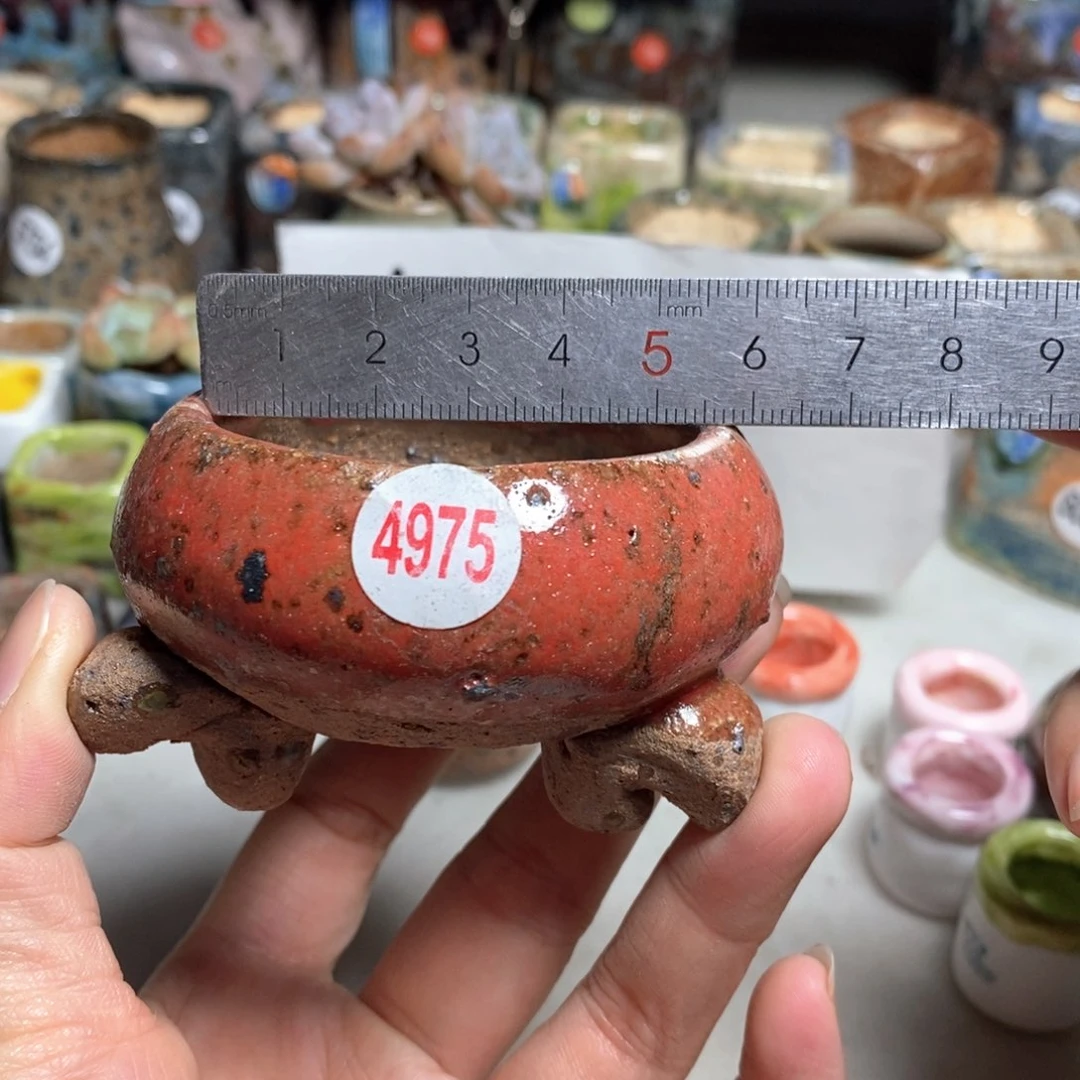 拍3送一个9.9拍5送同款