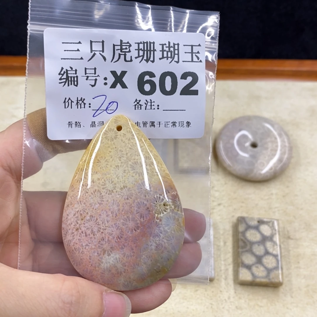 硅化珊瑚（珊瑚玉）1未镶嵌༺****