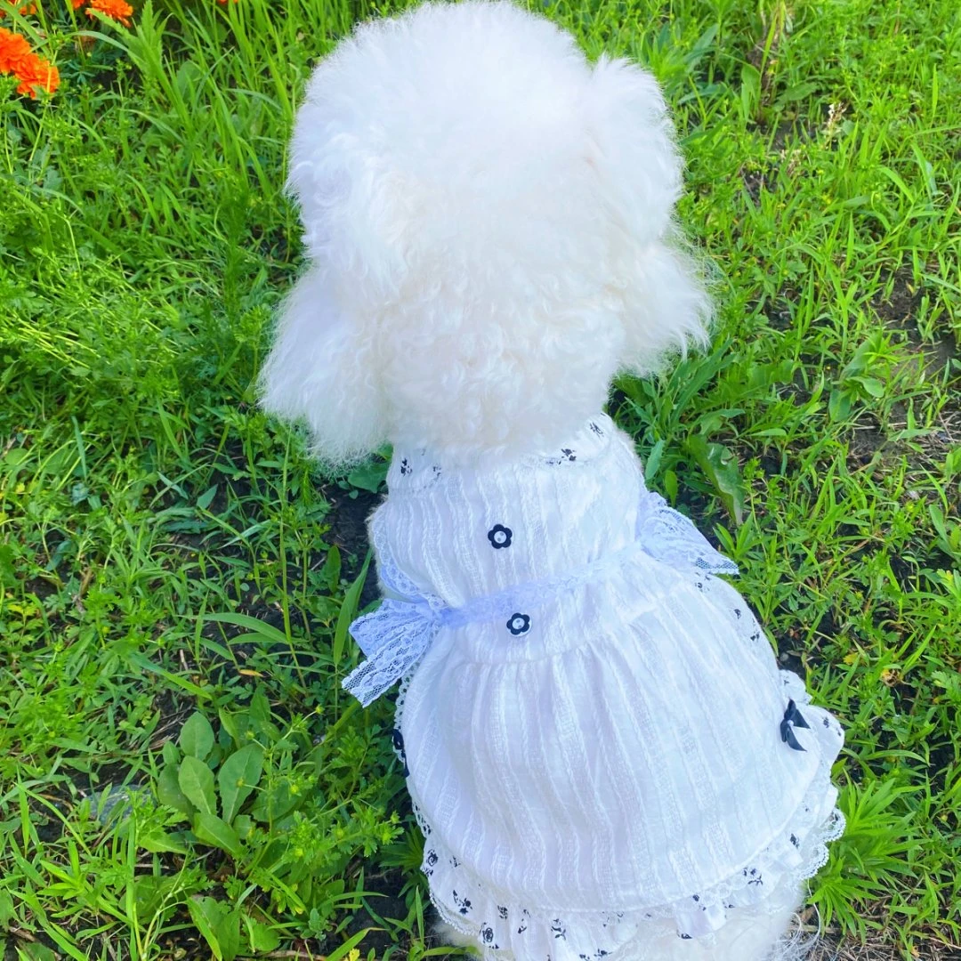 春夏薄款宠物狗狗猫咪蕾丝碎点花公主裙洛丽塔风格小型犬泰迪比熊