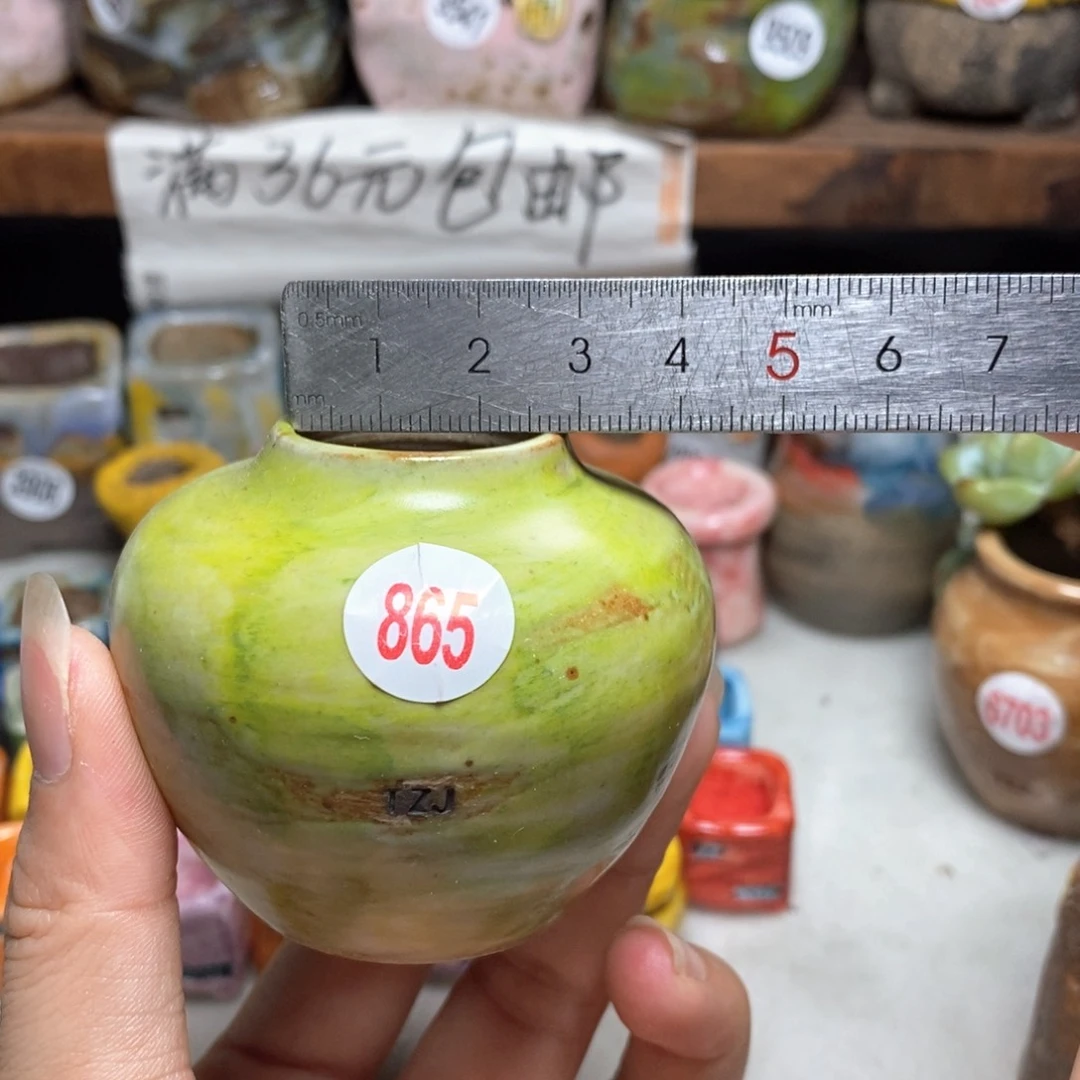 拍5送一个小礼物