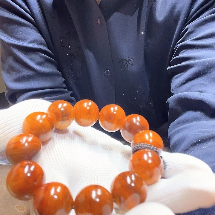 小***愿柏木北太行易县料